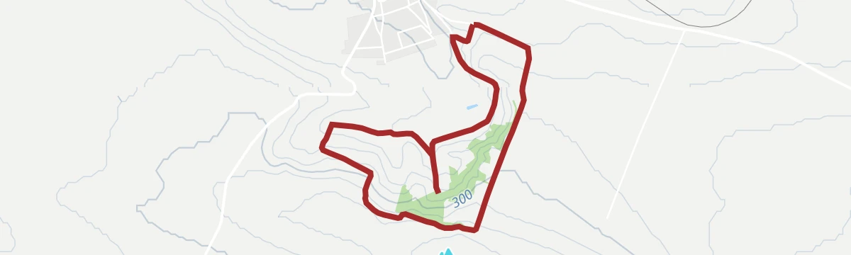 Platter Rebsortenwanderweg